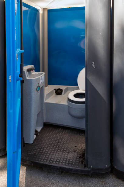 Best Affordable portable toilet rental  in Stevensville, MI