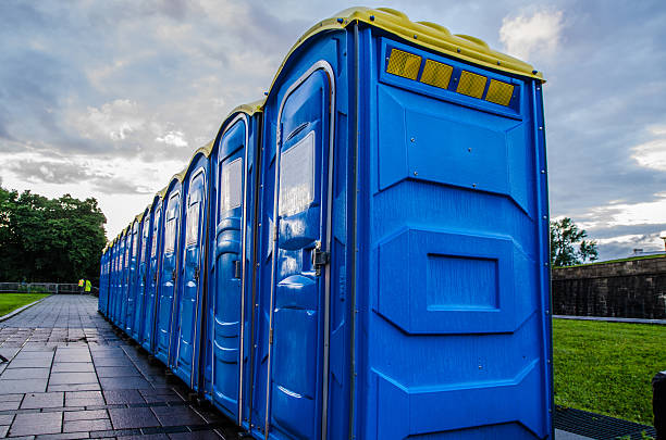 Best Porta potty rental for parties  in Stevensville, MI